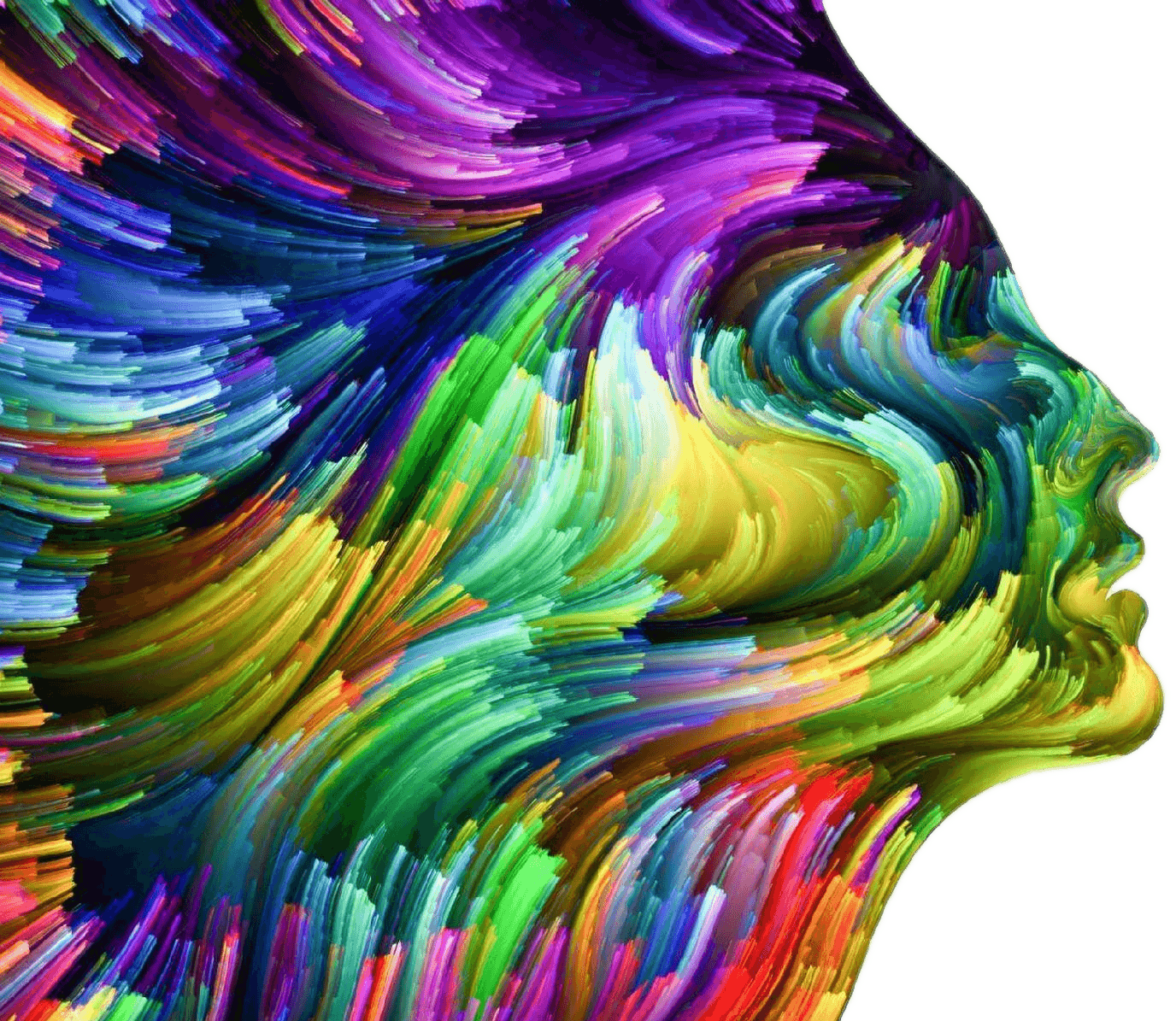 illustration creation